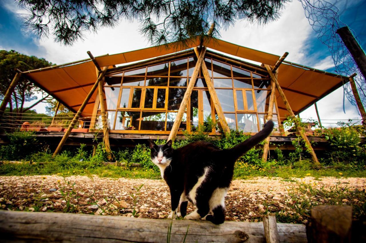 Quinta Alma - Ecological Retreat Farm Hotel Aljezur Kültér fotó